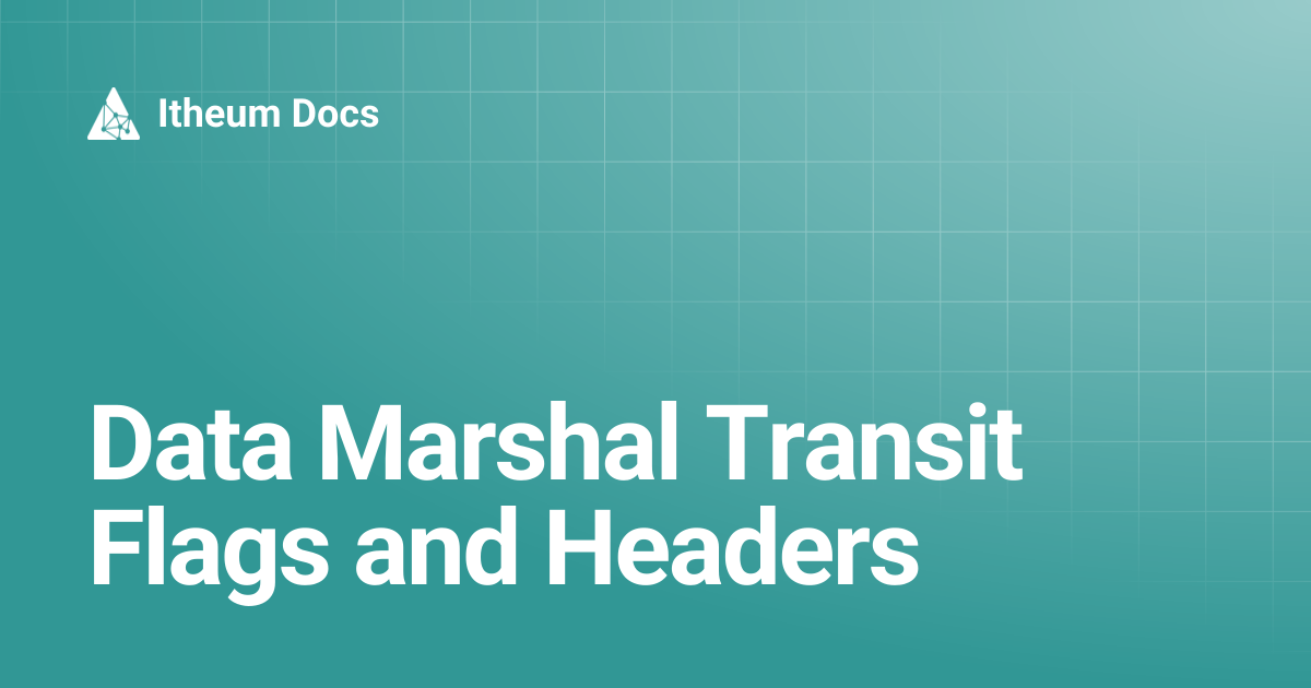 Data Marshal Transit Flags and Headers | Itheum Docs